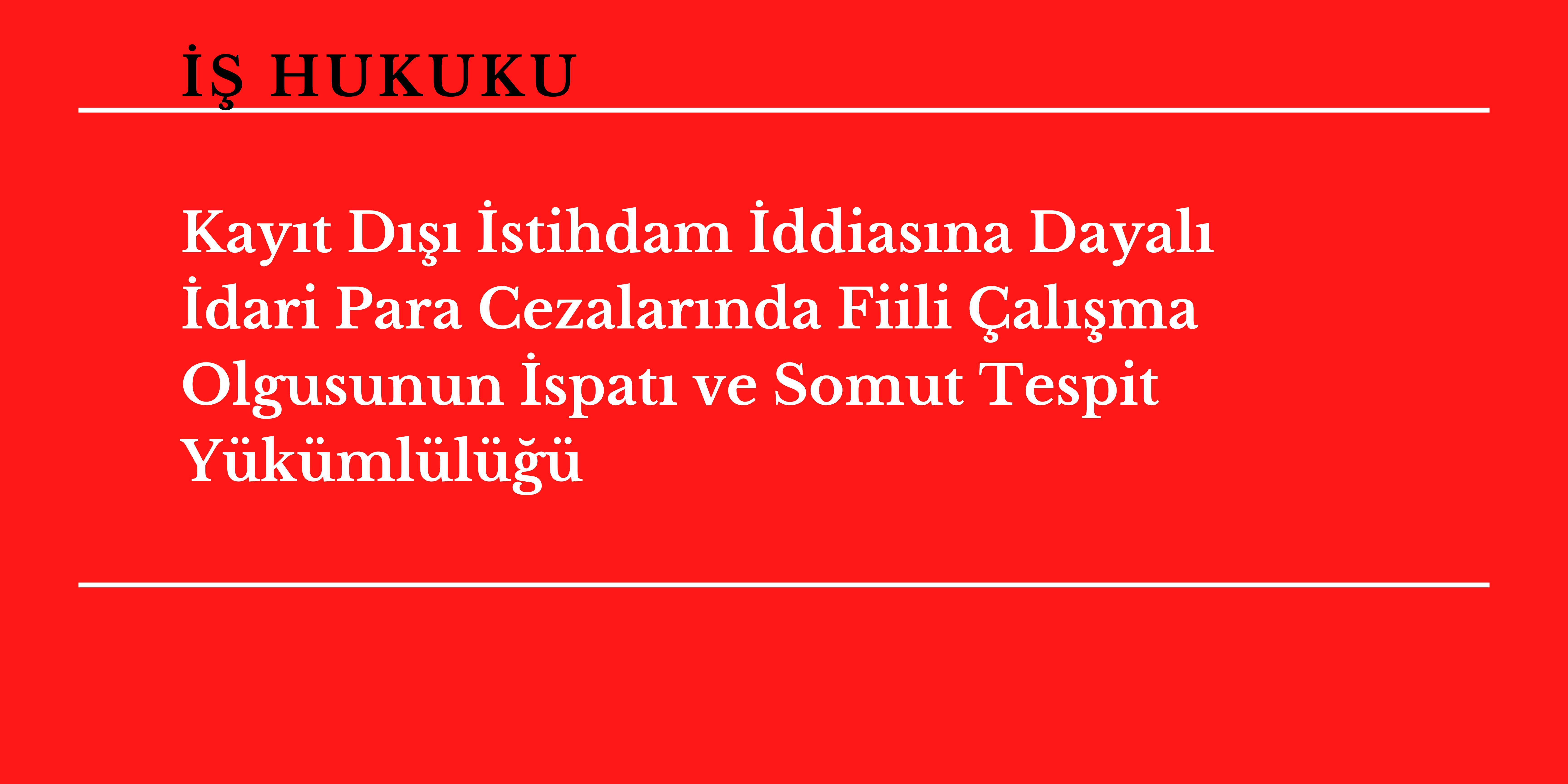 Kay�t D��� �stihdam �ddias�na Dayal� �dari Para Cezalar�nda Fiili �al��ma Olgusunun �spat� ve Somut Tespit Y�k�ml�l���